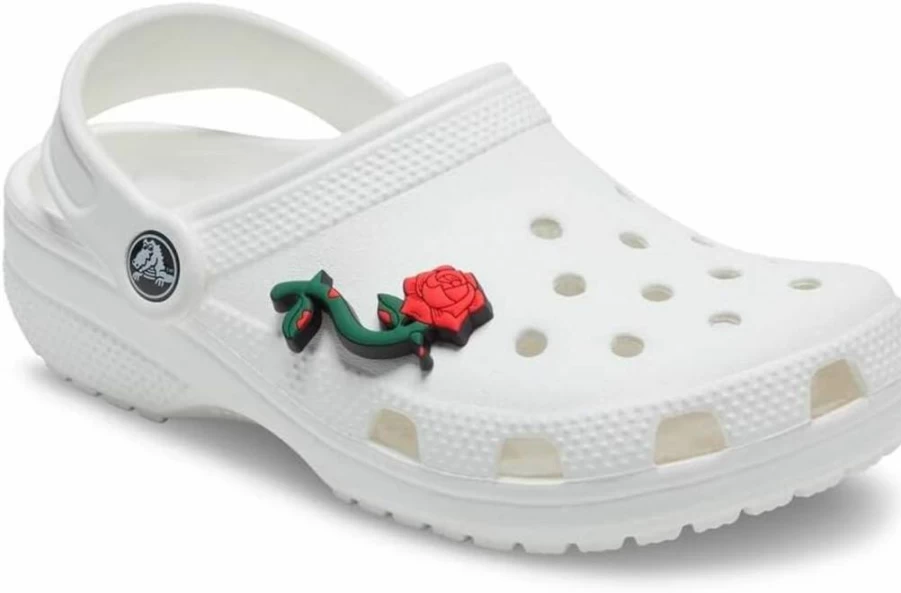 Crocs Unisex Jibbitz Shoe Charms - Nature & Flower Designs for Adults, Girls & Boys - Customizable Shoe Accessories
